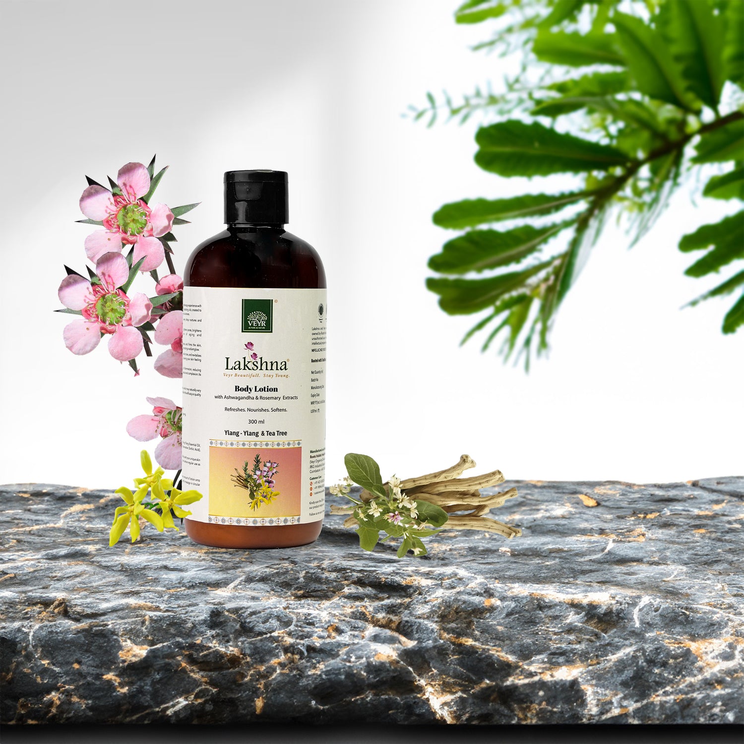 Body Lotion